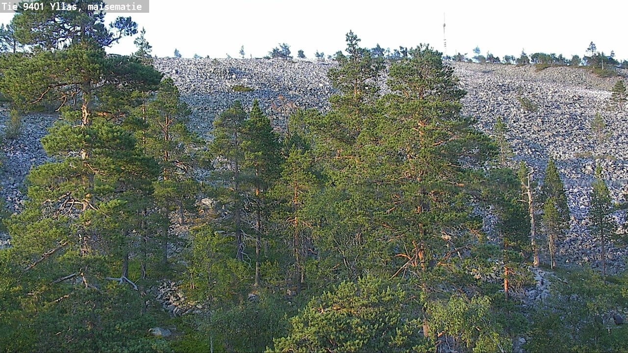 Kelikamera historia